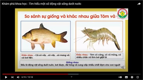 HĐKP   Một số con vật sống dưới nước  - Giáo viên: Nguyễn Thị Thanh Hà
